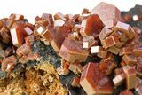 Top-Quality, Deep Red Vanadinite Crystals on Hematite - Morocco #291082-5